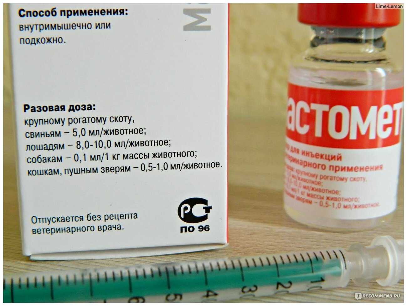 7 причин почему у собаки набухли молочные железы – лечение