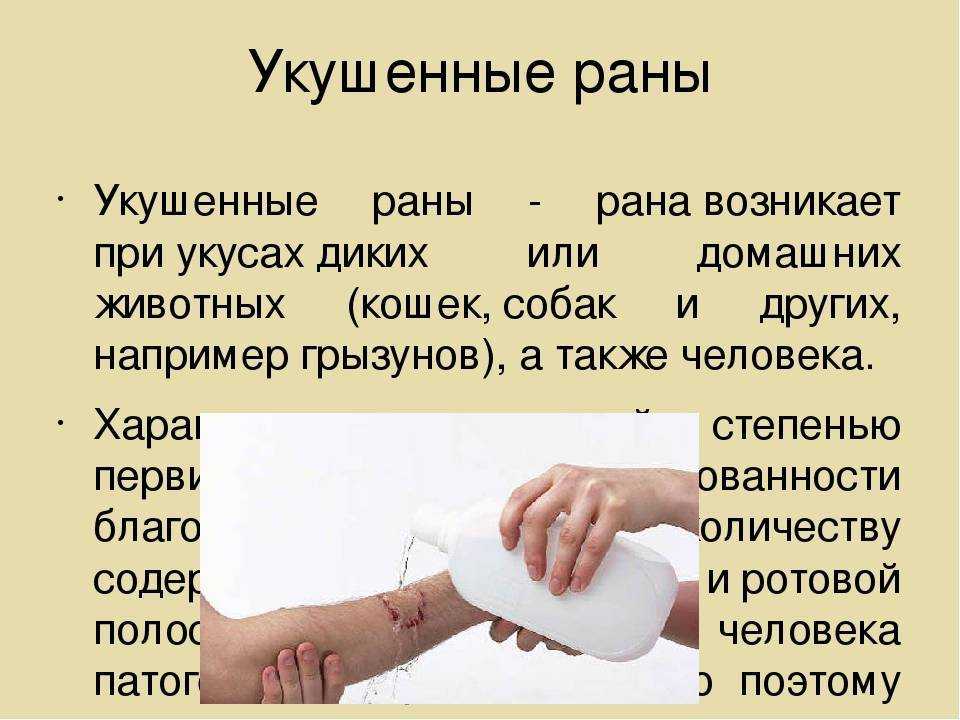 Мокнущая экзема у собак — лечение, причины