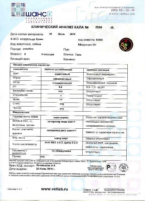 Копрологический анализ у собак - [2023]
