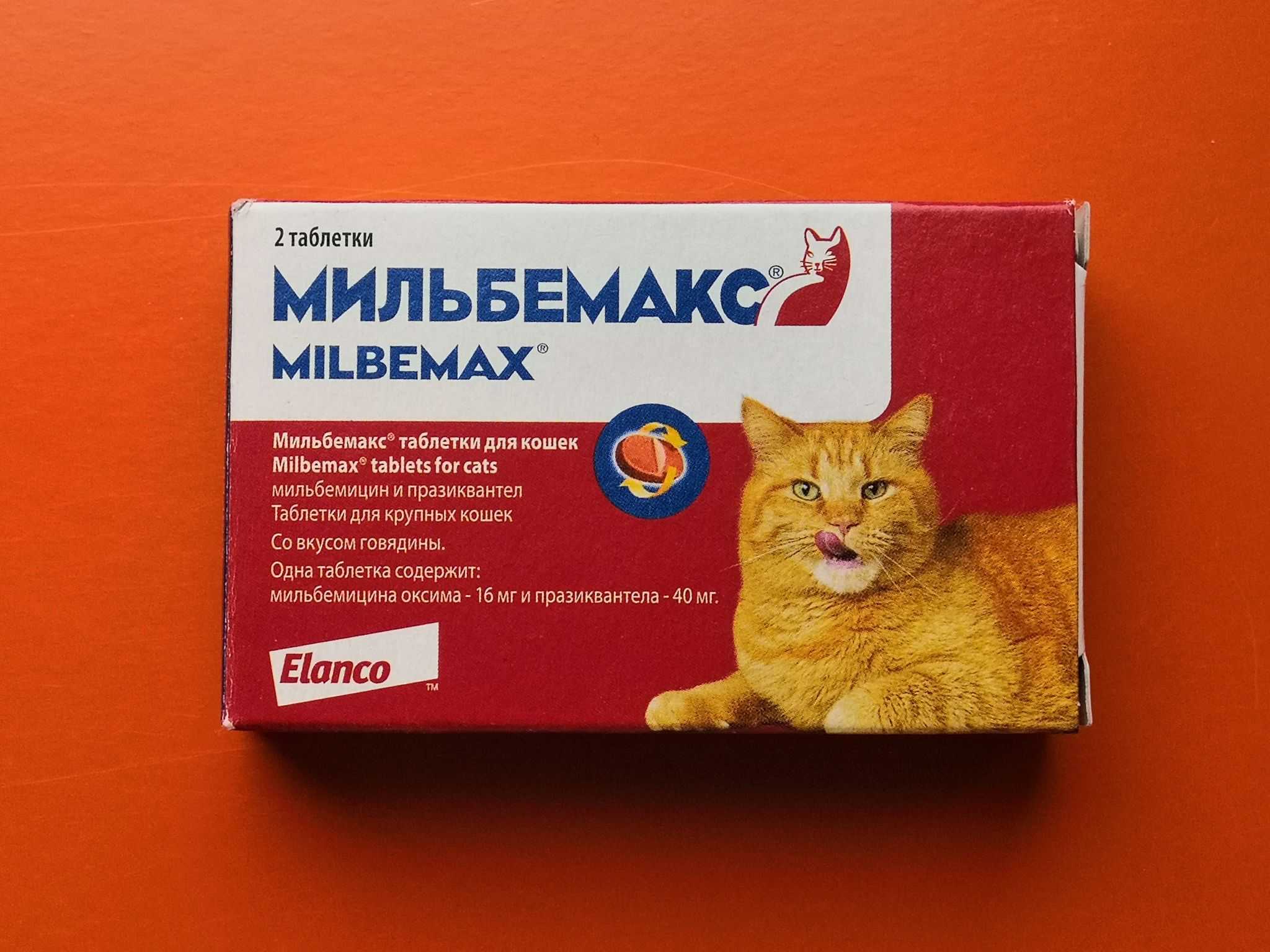 Мильбемакс для кошек: инструкция по применению, дозировка и эффективность лечения