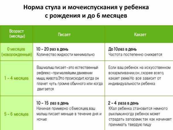 Почему котенок не какает и что с этим делать?