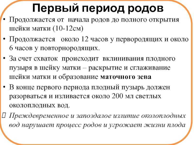 Признаки начала родов у кошки, предвестники