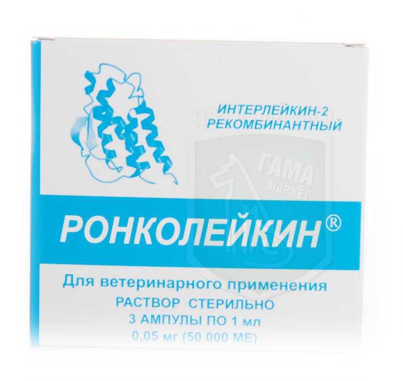 Иммунокорректор для собак – обзор лекарства ронколейкин