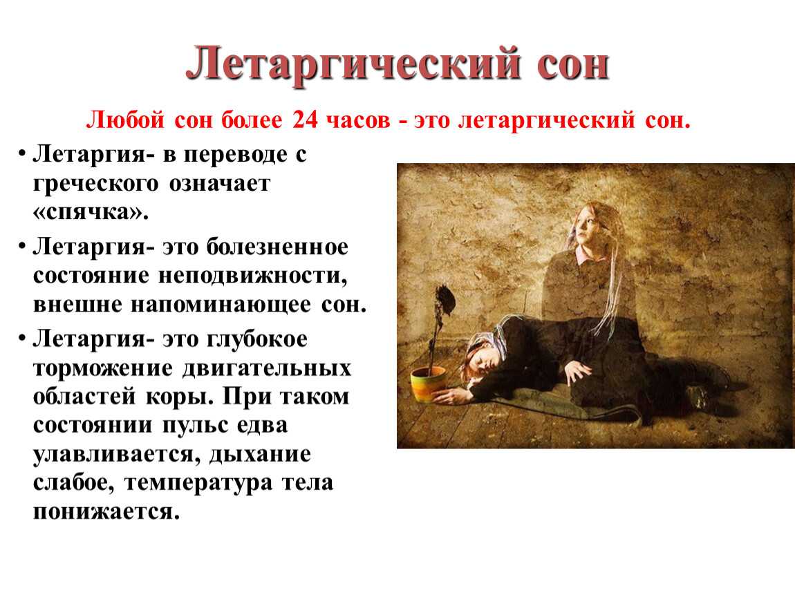 Отек мозга у кошки: причины, симптомы и способы диагностики_ | wwwcat.ru