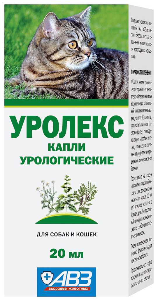 Препарат для кошек Уролекс: показания к применению, инструкция, расчет дозировки, ориентировочная стоимость в аптеках, отзывы ветеринаров и собственников питомцев