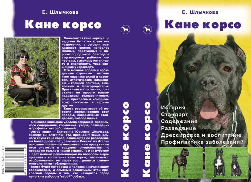 Кане-корсо: дрессировка и воспитание в домашних условиях все о домашних питомцах: породы и виды, уход, болезни