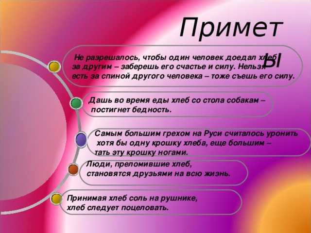 Беременные и животные: почему нельзя бить, к кому нельзя прикасаться, приметы и суеверия