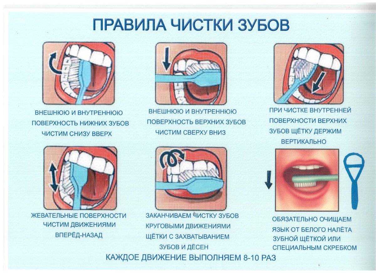 Кошка скрипит зубами: почему и что делать?