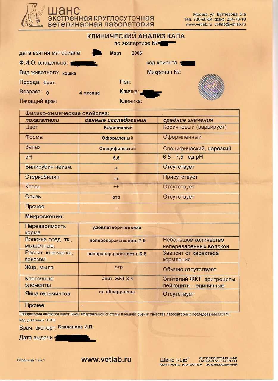 Сбор анализов у кошек и собак