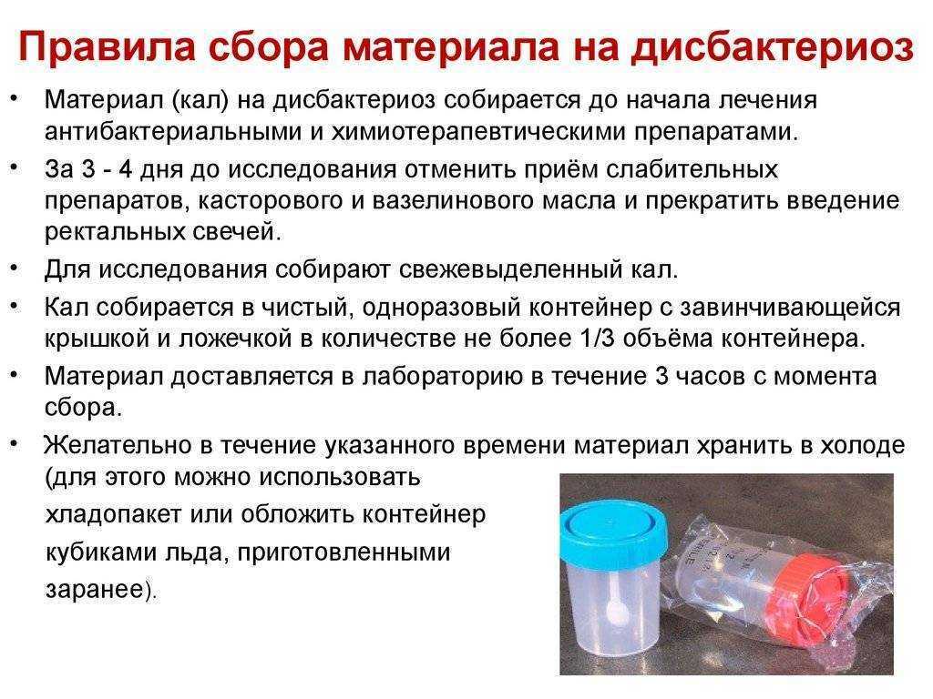Как собрать кал и мочу животного для анализов | ветеринарная клиника бона менте