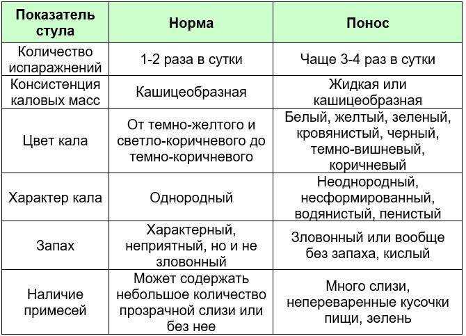 Понос у котенка - причины и лечение
