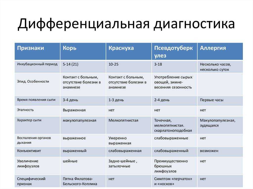 Дисплазия у кошек: предрасполагающие факторы, симптомы, лечение, профилактика - все о породах кошек с описанием, фотографиями и названиями.все о породах кошек с описанием, фотографиями и названиями.