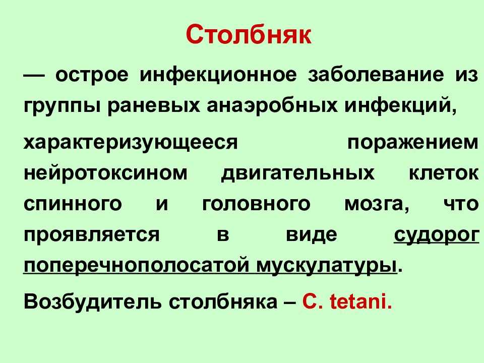 Чем опасен укус кошки - болезни от укусов