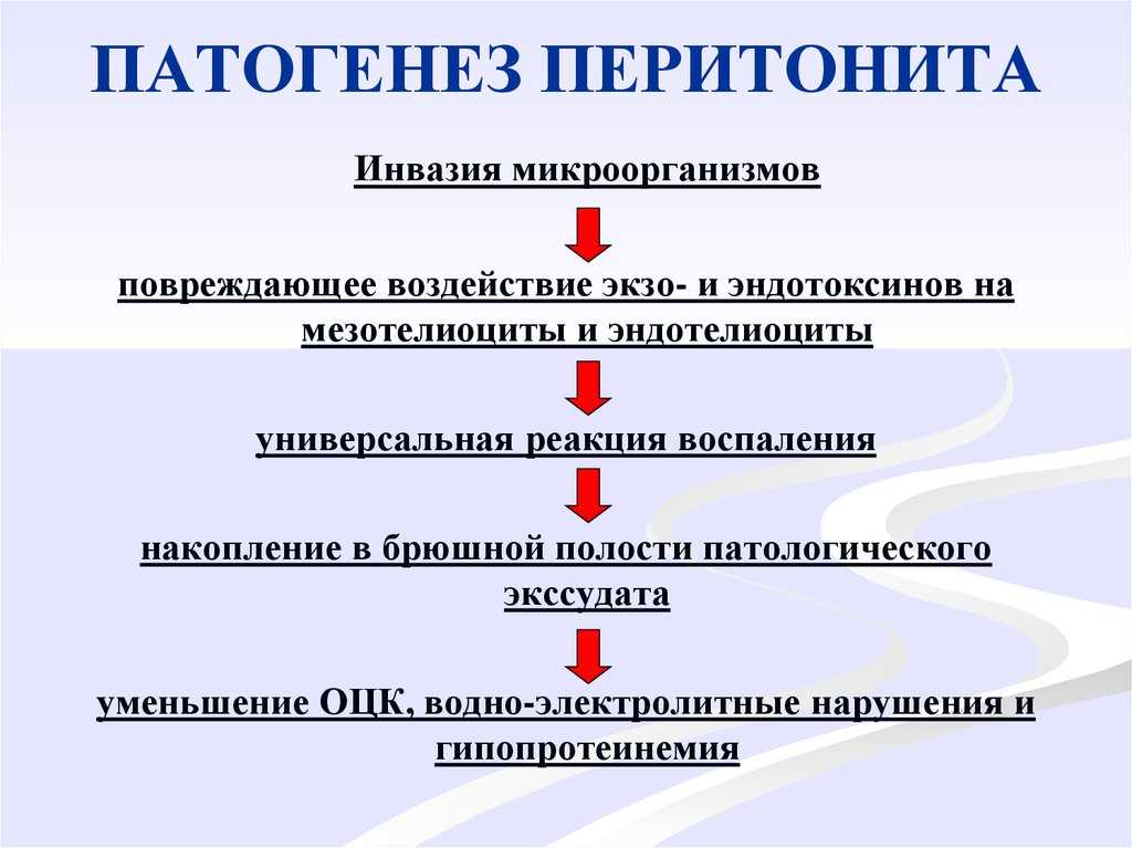 Дискоспондилит у собак: этиология и патогенез, диагностика, лечение
