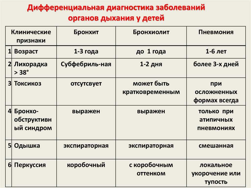 Пневмония у кошек