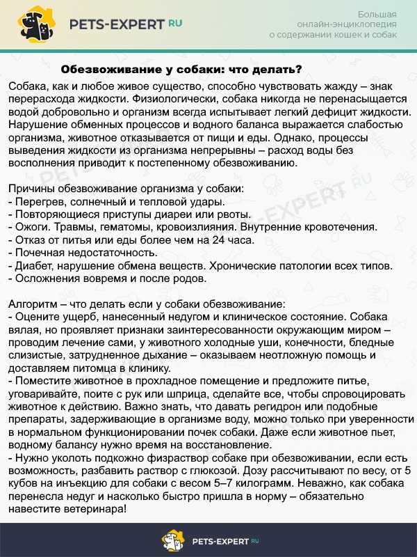 Церукал для кошек и собак инструкция по применению 
церукала в ветеринарии состав лекарства дозировка отзывы