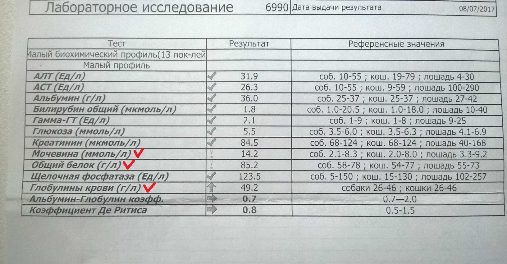 Панкреатит у кошек амилаза