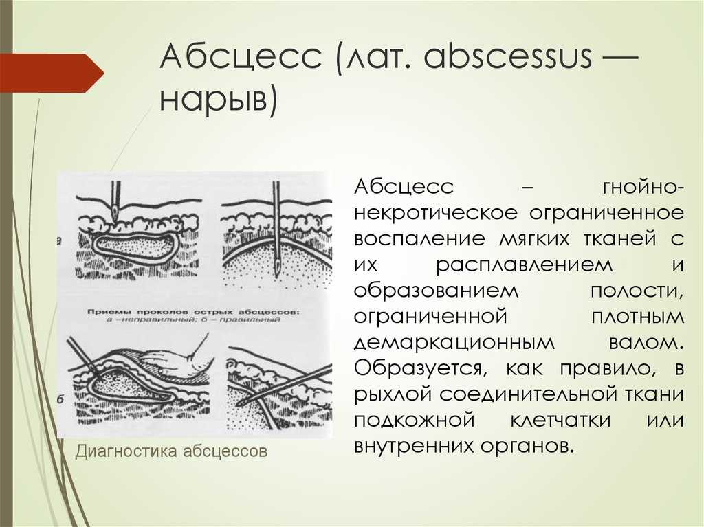Вскрытие абсцесса у кота, лечение в домашних условиях: как лечить нарыв?
