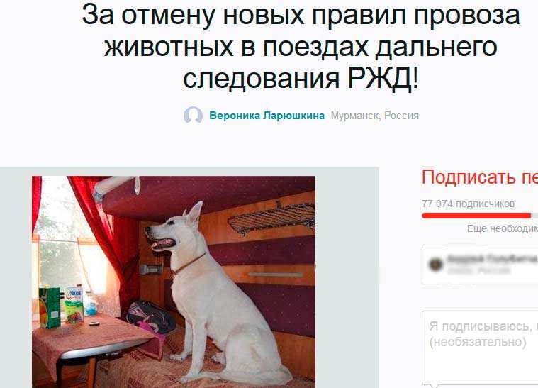 Правила перевозки животных в поездах ржд в 2023 году