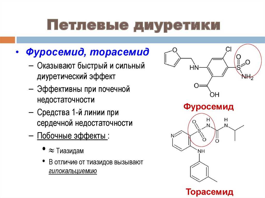 Как давать фуросемид кошке. диуретики для животных, мочегонные средства для собак, котов и кошек