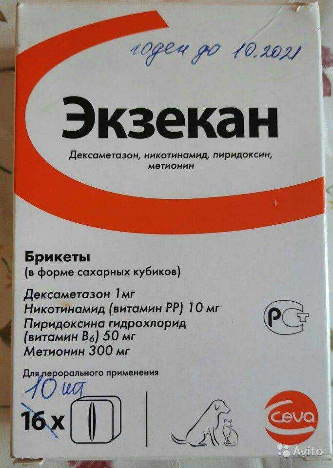 «экзекан»: от чего и как давать кошке