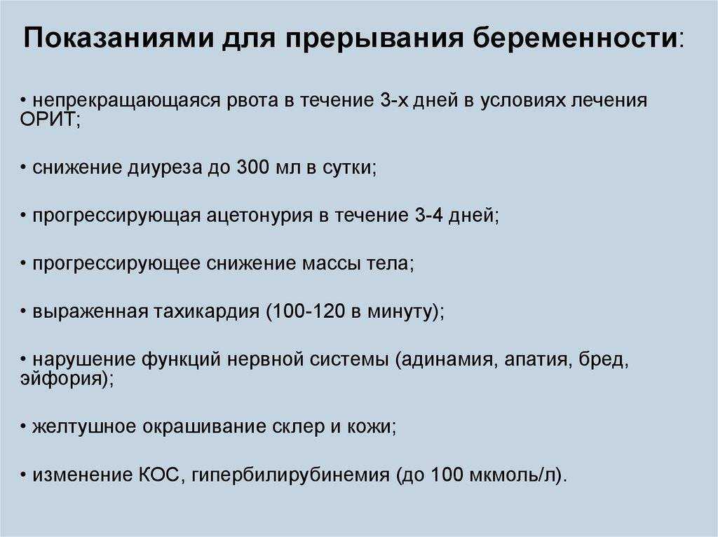 Привычки кошек, которые воспитывают сами хозяева