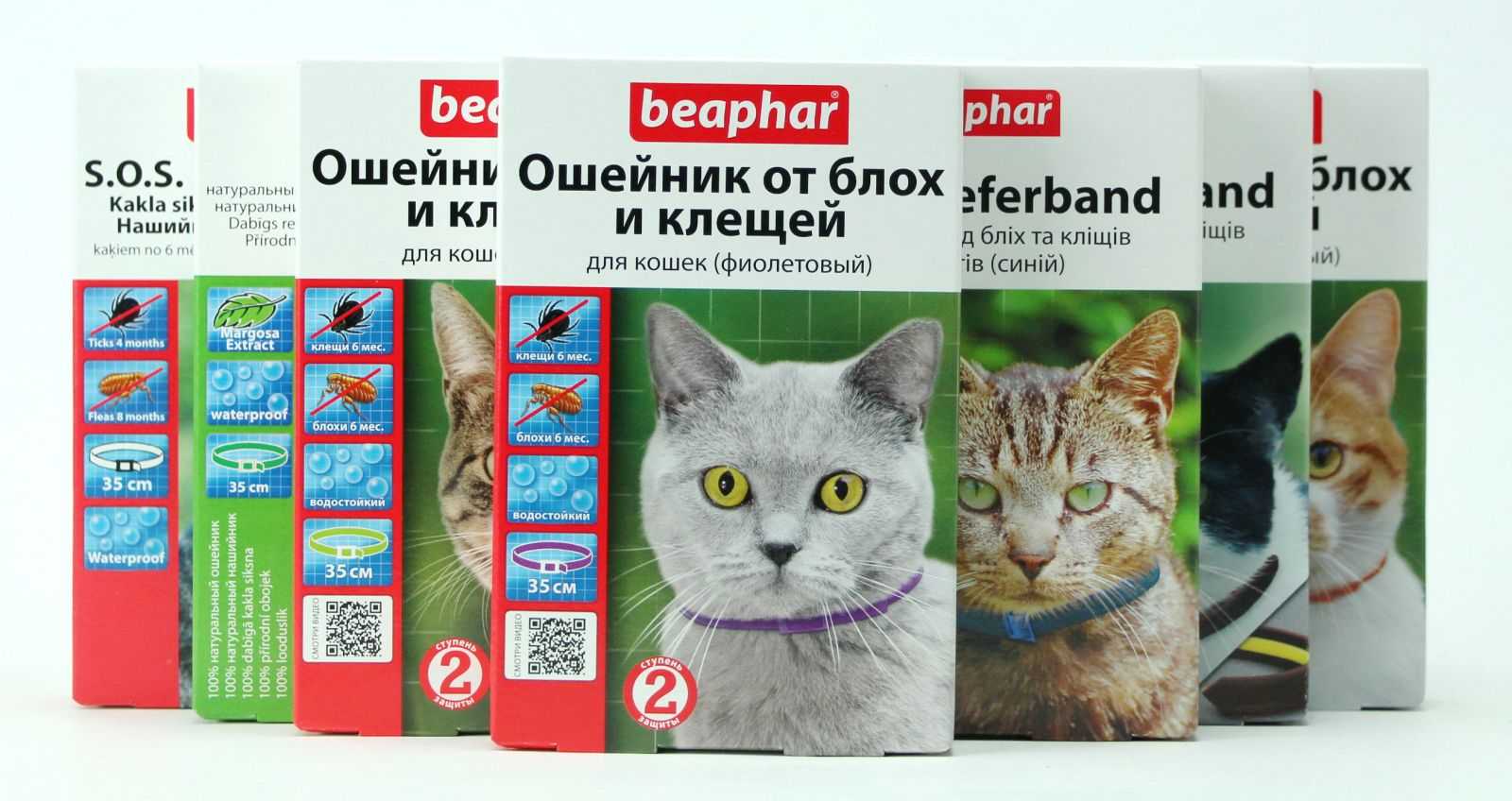 Ошейники от блох и клещей для кошек: самый полный обзор