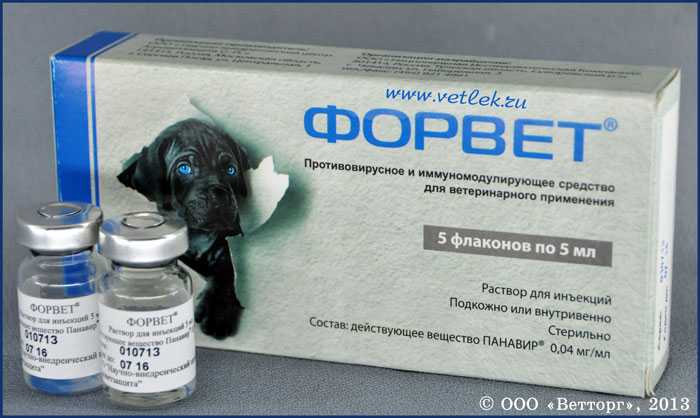 Глазные капли для собак