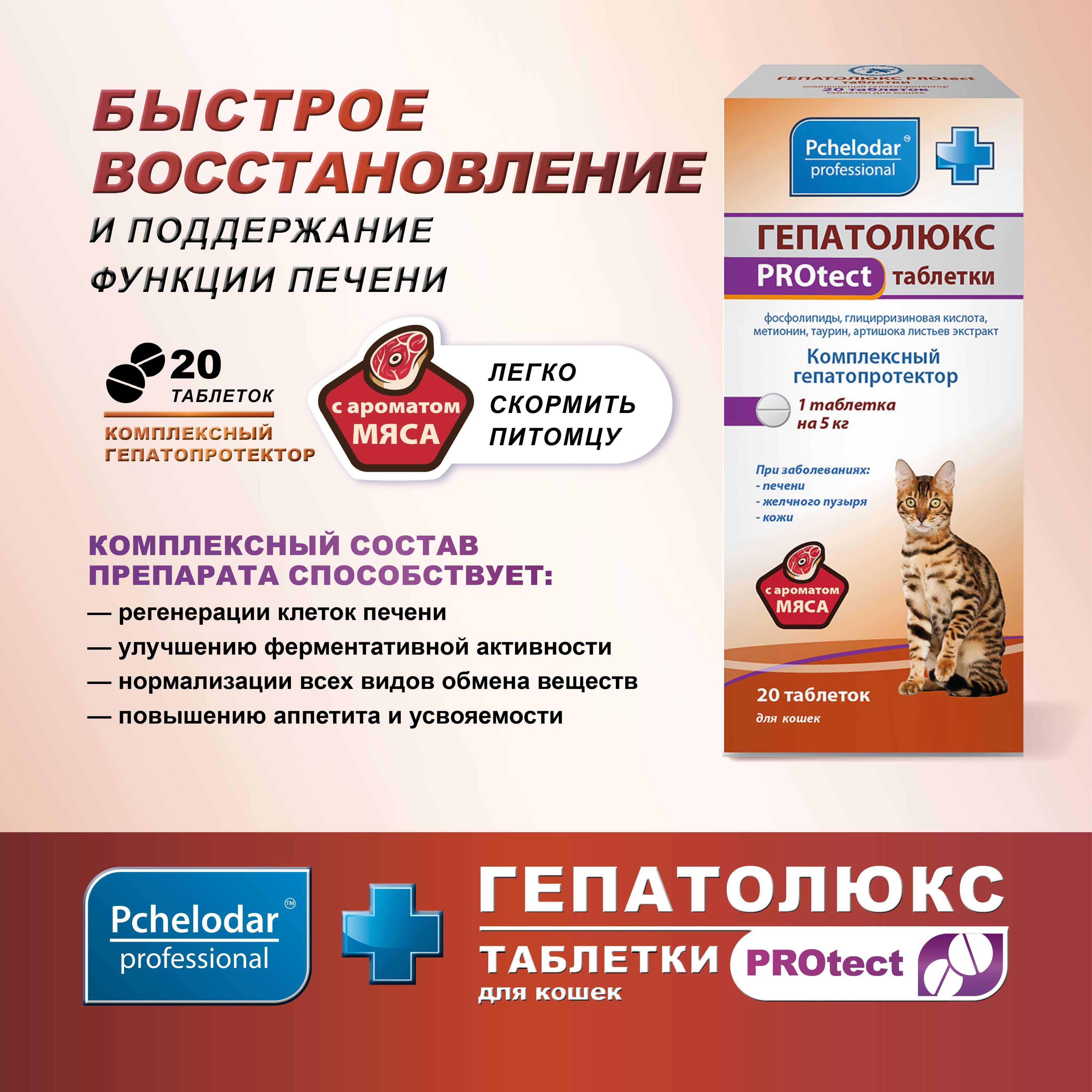 Почему лактобифид для кошек так популярен?