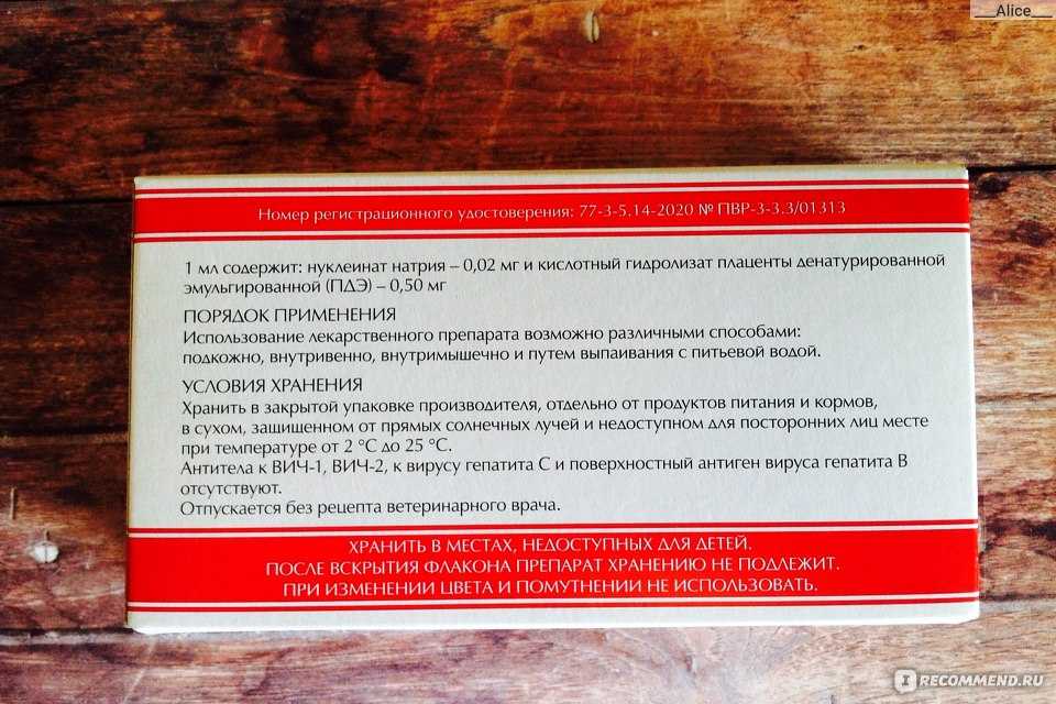 Гамавит для собак: показания и противопоказания, дозировка, аналоги