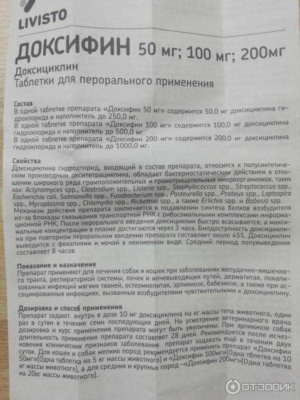 Юнидокс солютаб для кошек: дозировка, инструкция по применению, лечение кормящих и котят. как давать препарат, от чего назначают и можно ли принимать при простуде?