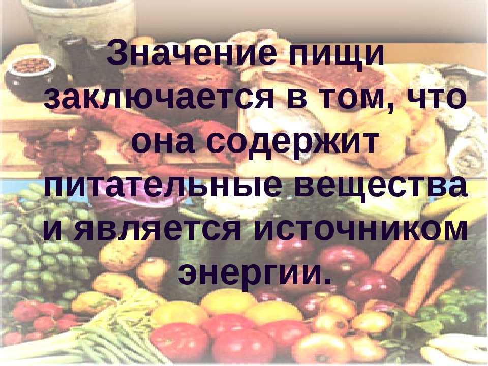 Можно ли хомякам мясо и рыбу (курицу, сало, сосиски)
