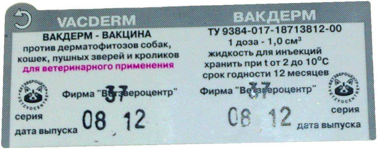 Вакцина «вакдерм»: как и куда колоть собаке