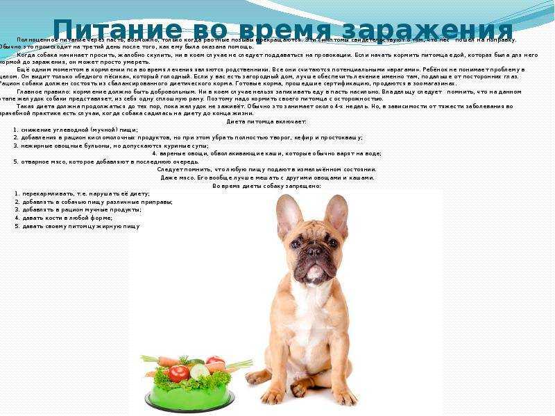 Симптомы заболеваний пищеварительной системы — тошнота и рвота