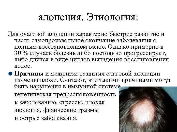 Кожные заболевания у кошек: фото, симптомы, лечение
кожные заболевания у кошек: фото, симптомы, лечение