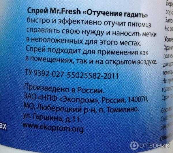 Как отучить кошку гадить в неположенном месте: полезные рекомендации