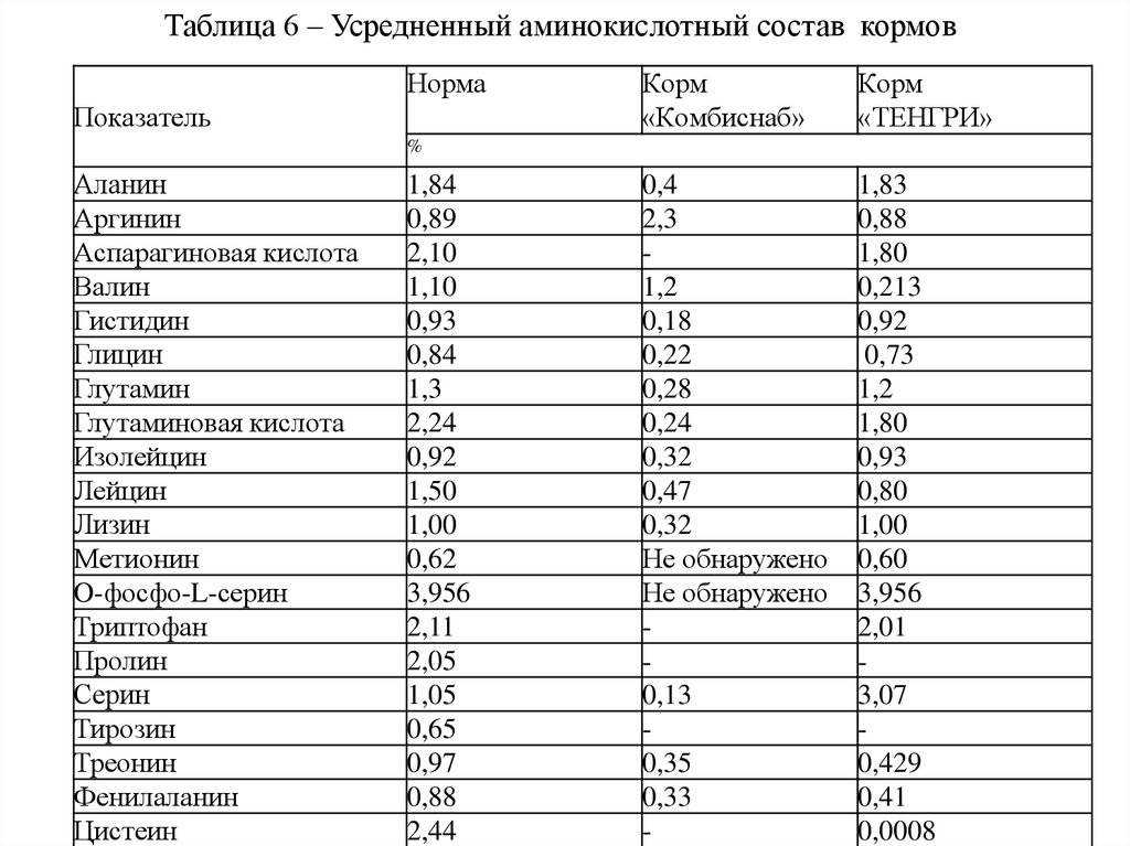 Протеин в корме для собак: для чего нужен, норма для собак, корма с высоким и низким содержанием белка