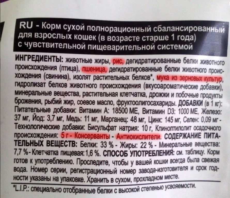 Глюкоза у кошек – опасны ли отклонения от нормы