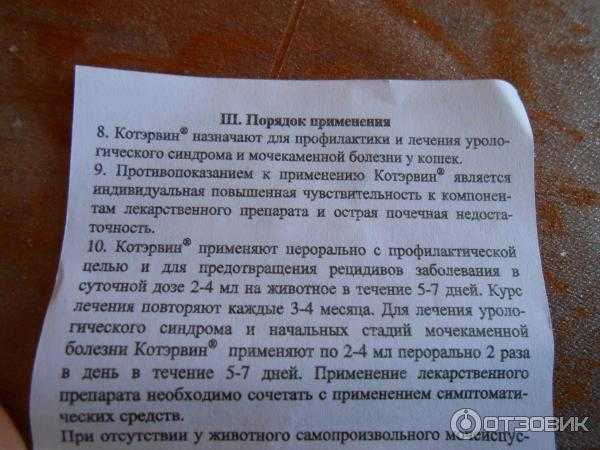 Котэрвин для кошек: инструкция по применению, показания и отзывы