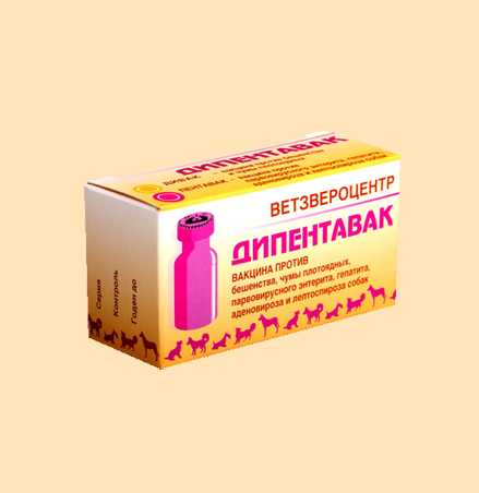 Дипентавак от ветзвероцентр: инструкция по применению