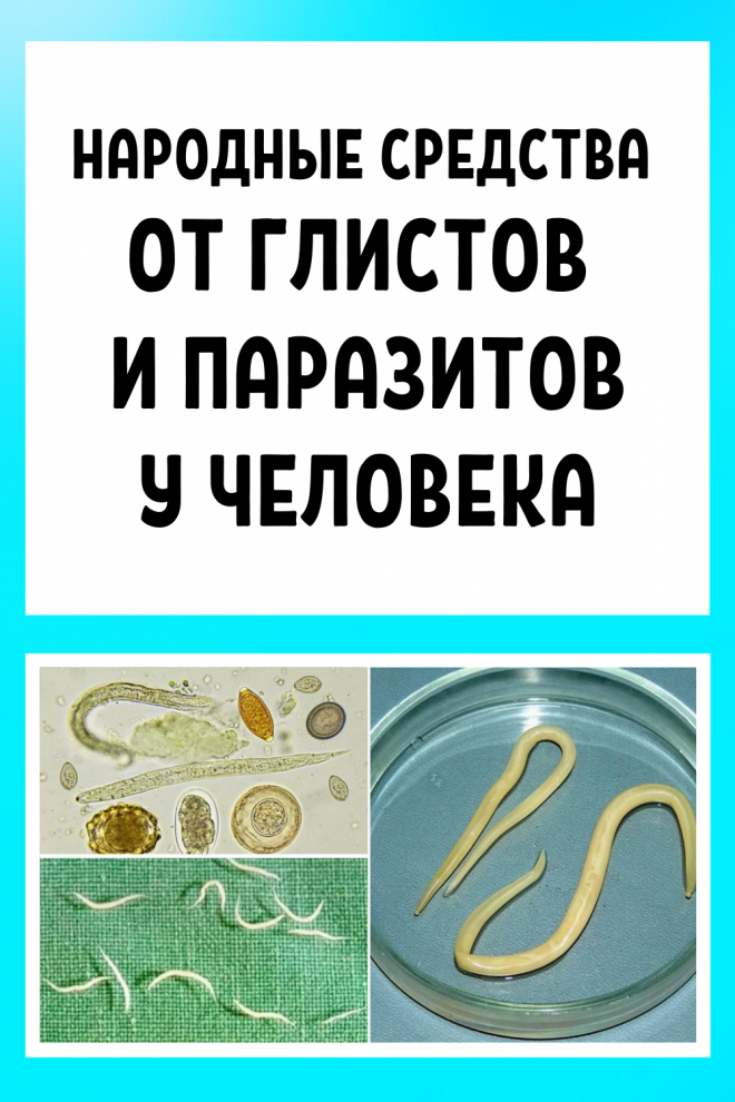 Как дать собаке таблетку, если она выплевывает, кусается, вырывается и не хочет глотать