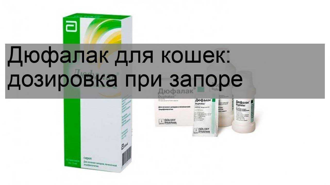 Лекарственный препарат Дюфалак для кошек и котов: показания и инструкция по применению, расчет дозировки, отзывы ветеринаров, цена