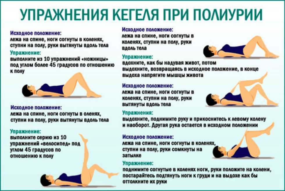Как делать кошке массаж живота от запора