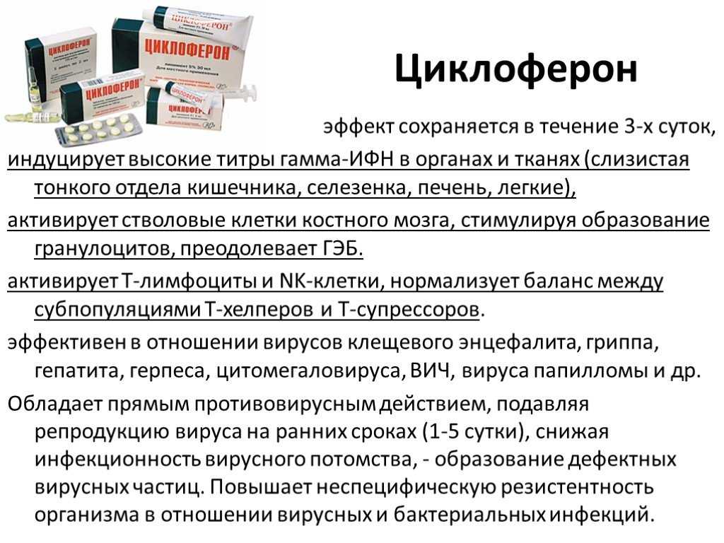 Папилломатоз у собак: причины и лечение