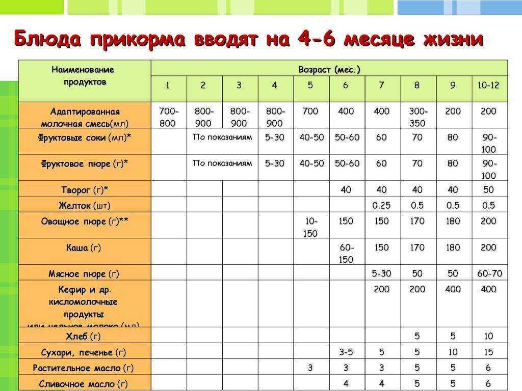 Как правильно кормить кошку сухим кормом - 5 советов от ветеринаров