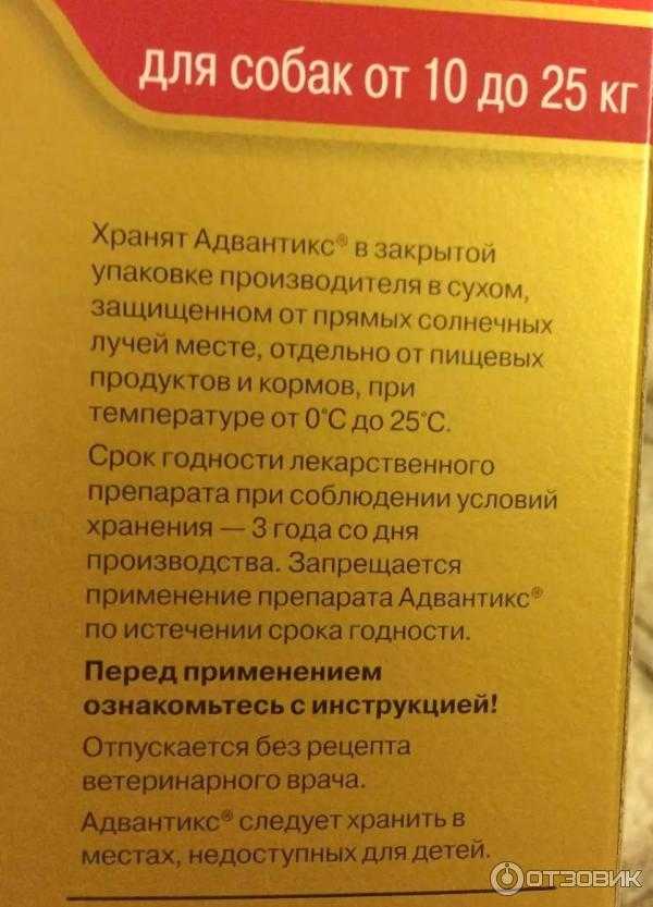Капли от блох для собак, как выбрать, использовать и правила применения