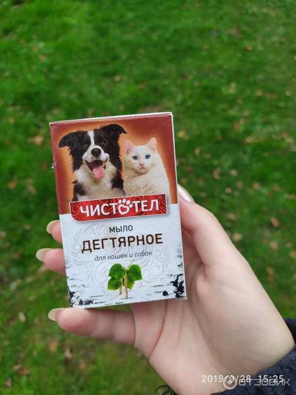 Дегтярное мыло от блох у кошек и у собак - как правильно применять?