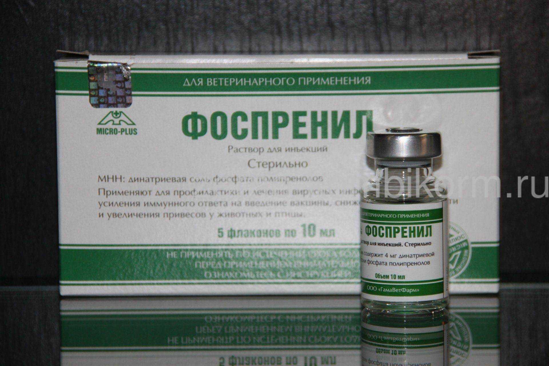 Фоспренил для собак: описание и показания к применению