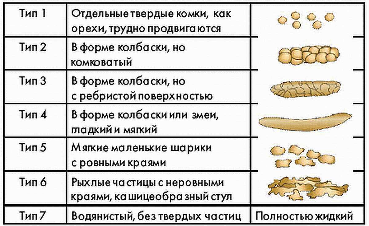 Неонатальная диарея у щенков