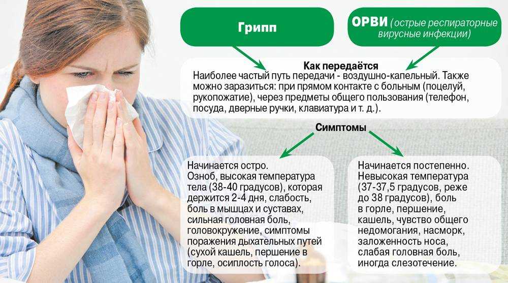 Может ли человек заразить кошку гриппом или простудой?